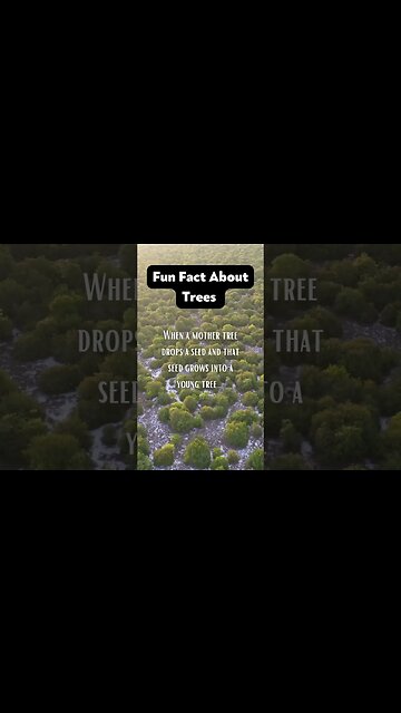 Episodes 9 and 10 cover fun facts as well as symbolic wisdom of trees! #treeoflife www.inanewway.com