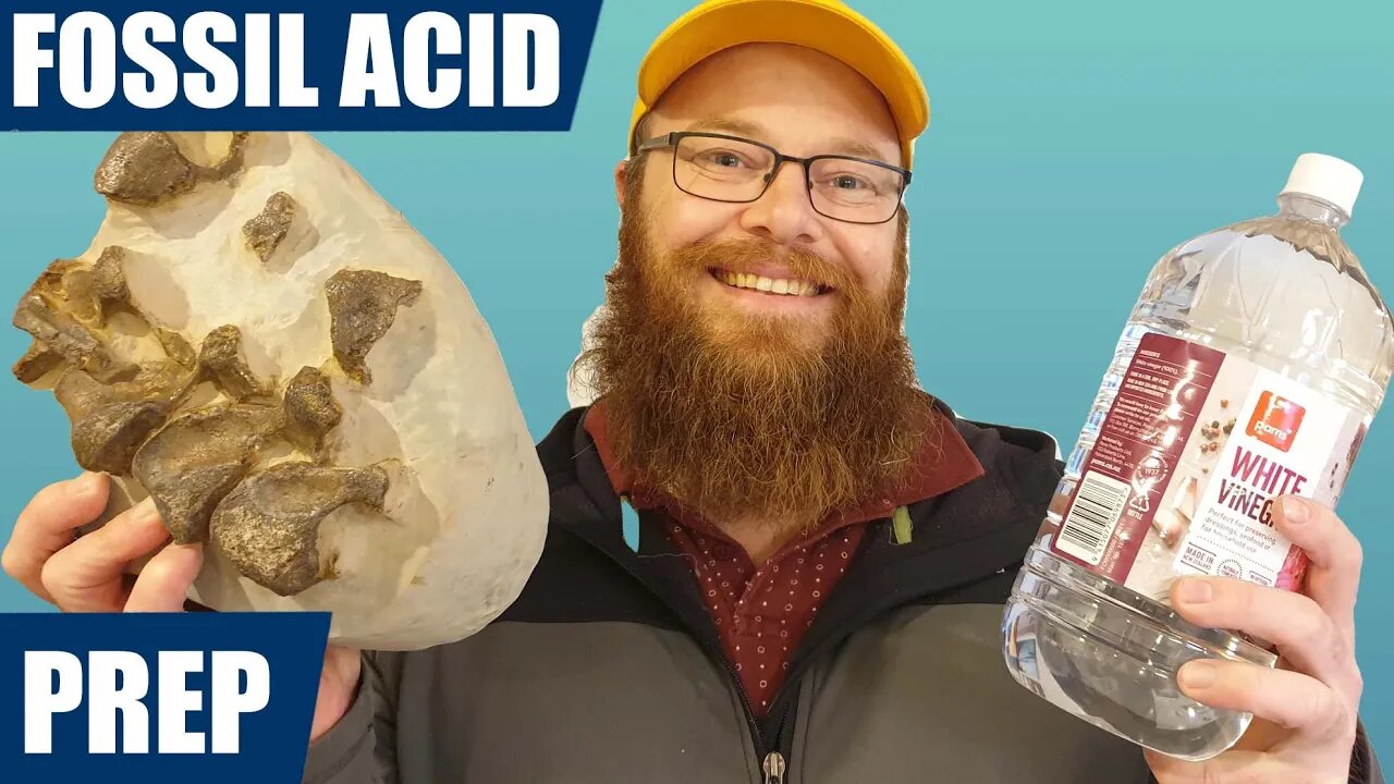 How I acid prep fossils using vinegar (acetic acid) and a bunch of time