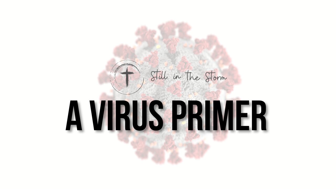 A Virus Primer