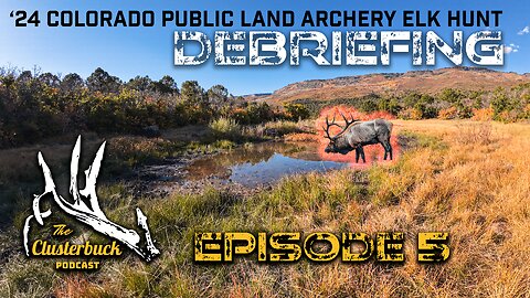 Bulls, Bears & a Giant Chipmunk | 24 Colorado Public Land Archery Elk Hunt Debriefing