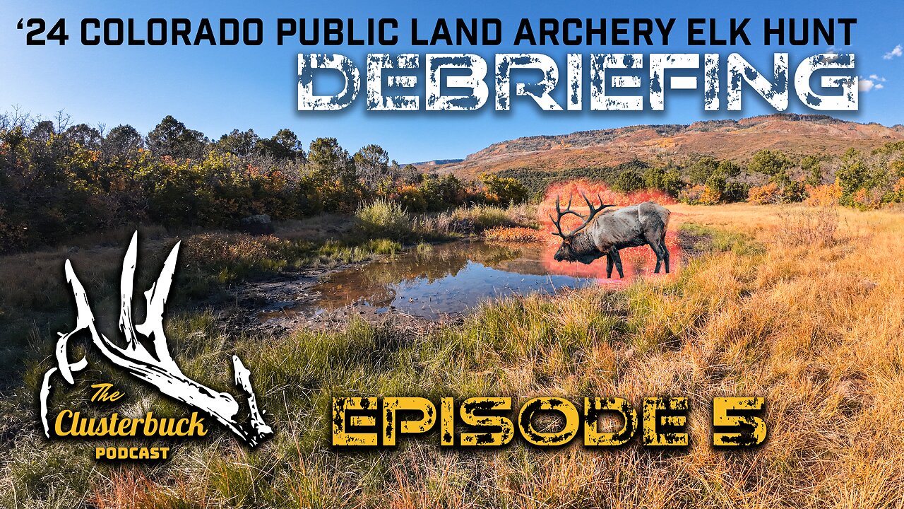 Bulls, Bears & a Giant Chipmunk | 24 Colorado Public Land Archery Elk Hunt Debriefing