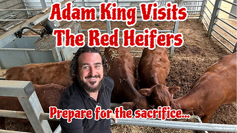 Adam King Visits Red Heifers - Sacrifice is Imminent!!! Its Going Down!!!