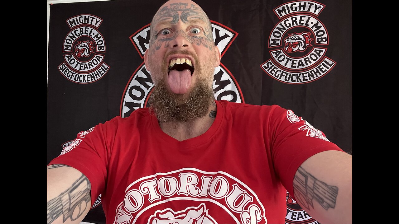 WELCOME TO THE RAW AND REAL now I can be ME THE PEDIGREE