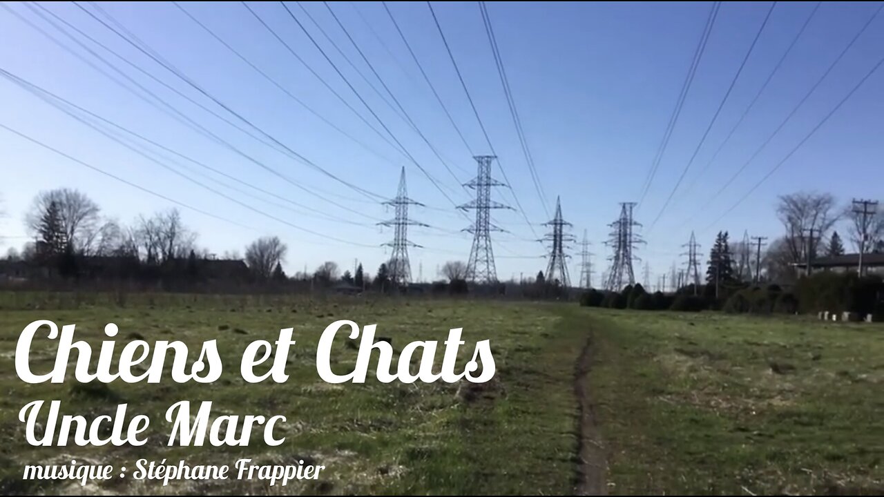 Chiens et Chats - Uncle Marc