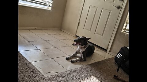 Play Time