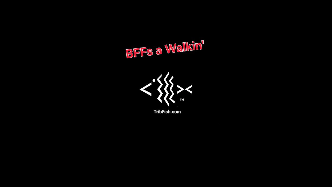 BFFs Walkin'