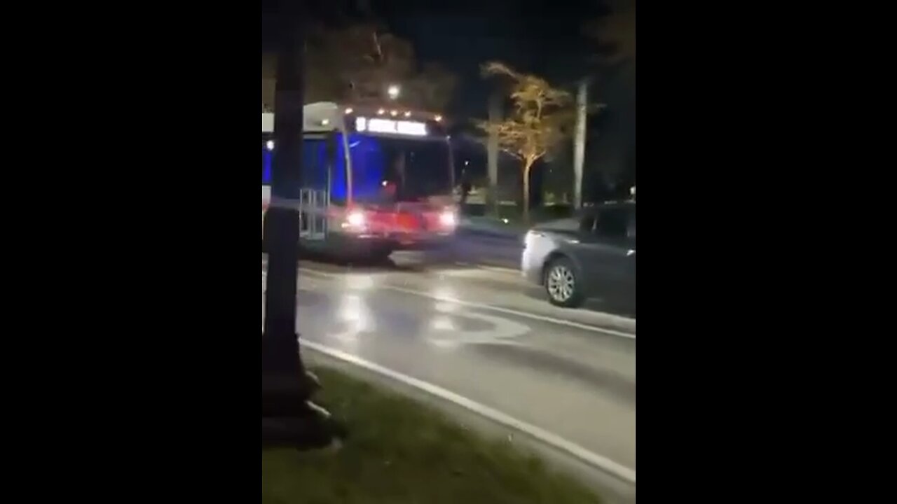 Blue lights in buses now