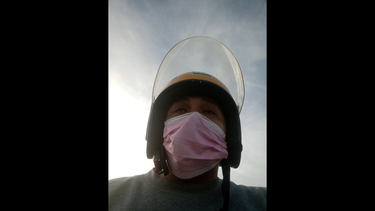 animal funny moments xD