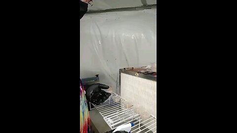 Testing genetics