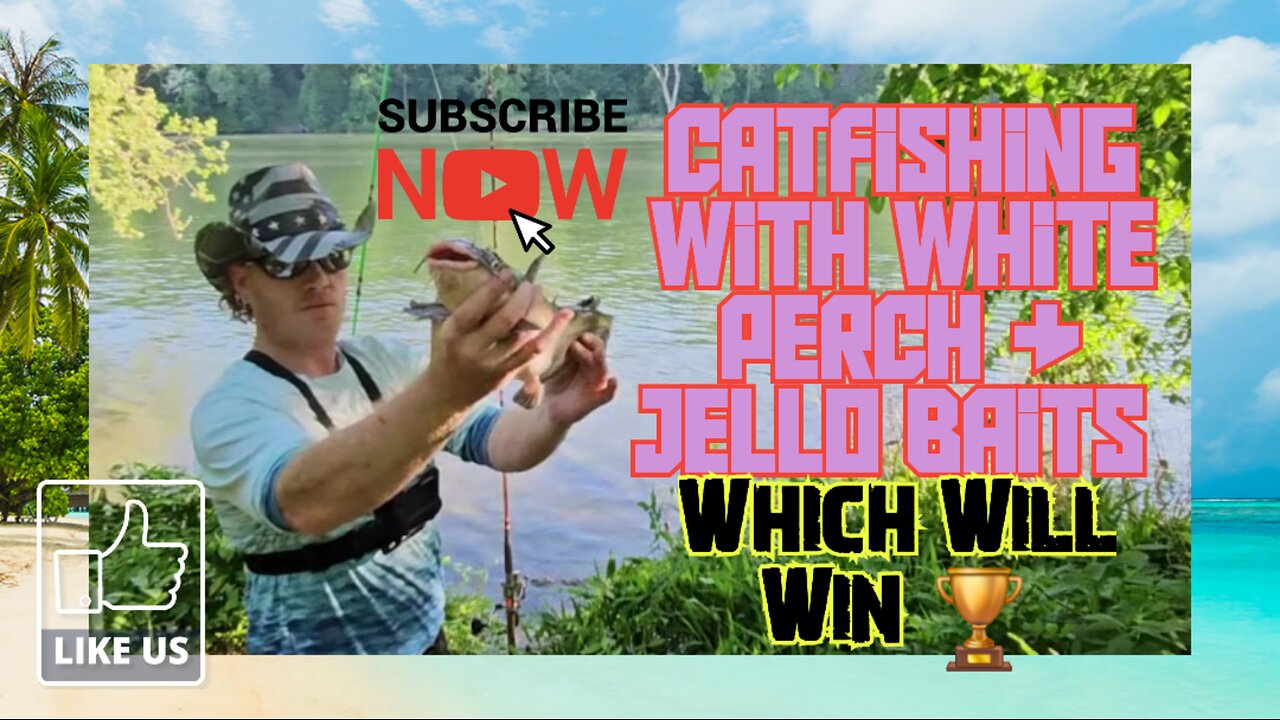 Catfishing With White Perch and Jello Baits