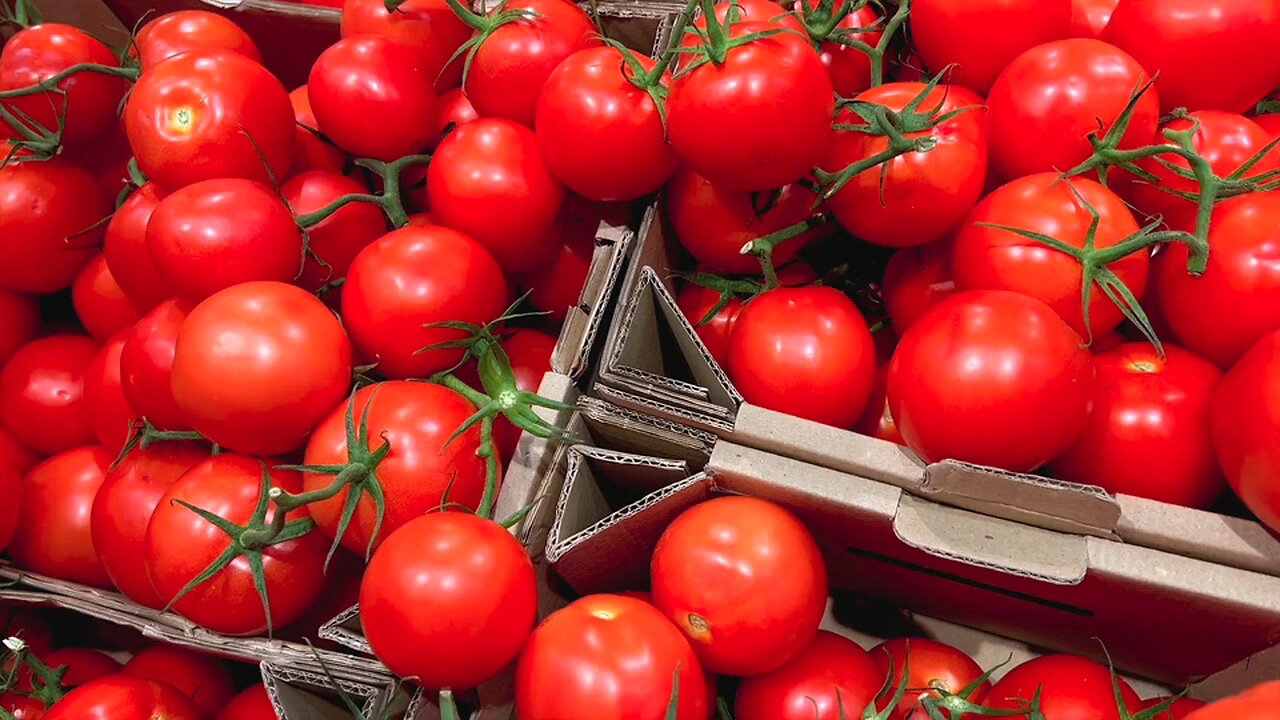 Tomato is also a popular vegetable and is rich in vitamin C. It is also used as a salad