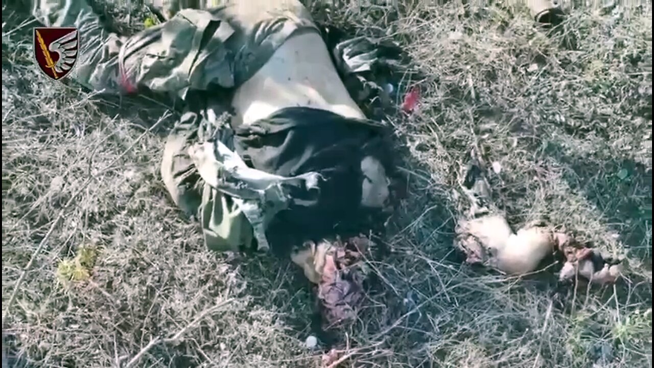 Disintegrated: Ukrainian Paratroopers Repel Another Massive Russian Meat Assault