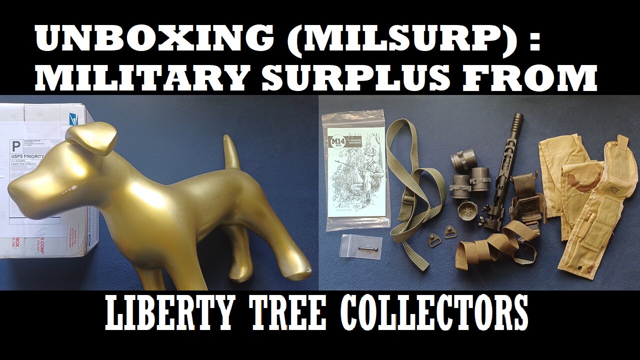 UNBOXING 182: LIBERTY TREE COLLECTORS. Vietnam Era US, West German, CETME, Mauser, see description!