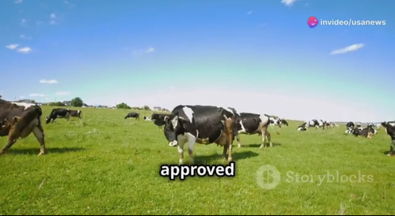 Boycott Threats Over Arla Foods' Methane-Reducing Additive