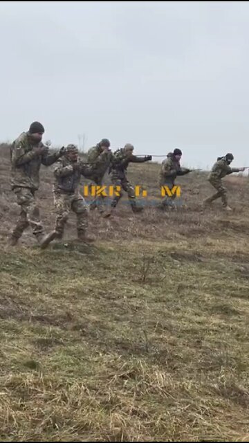 Mobilized Ukrainians undergo NATO standard training