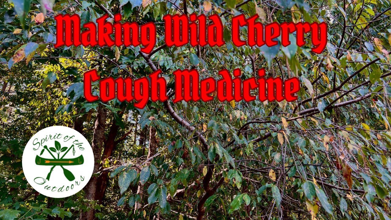 Making Black Cherry Cough Medicine