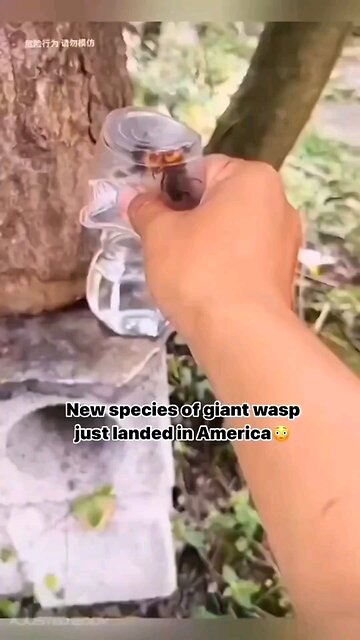 President Trump Found Guilty of 34 Charges