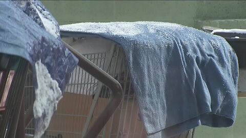 JeffCo moves forward with annual count of unhoused people despite subzero temperatures
