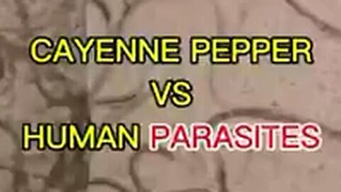 CAYENNE PEPPER VS HUMAN PARASITES (under the microscope) (+links in description box)