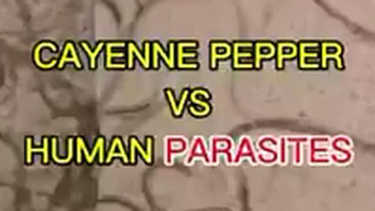 CAYENNE PEPPER VS HUMAN PARASITES (under the microscope) (+links in description box)