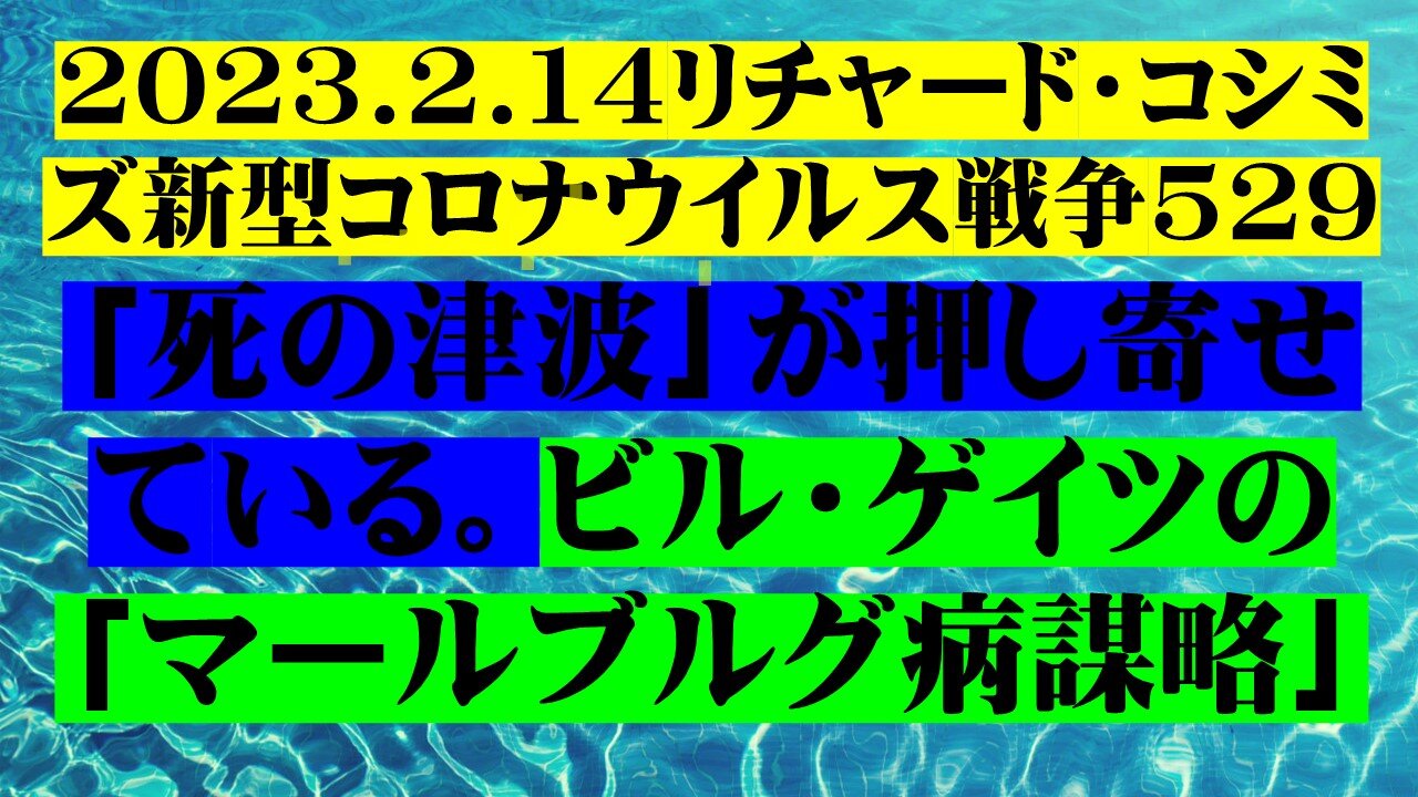 2023.2.14リチャード・コシミズ新型コロナウイルス戦争529