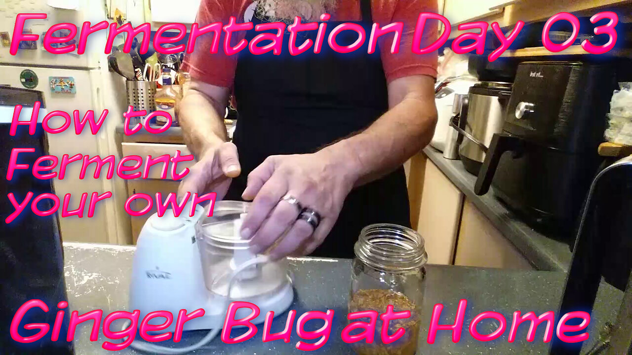 Fermentation Day 3 Fermented Ginger Bug Tutorial - Ginger Ale soon