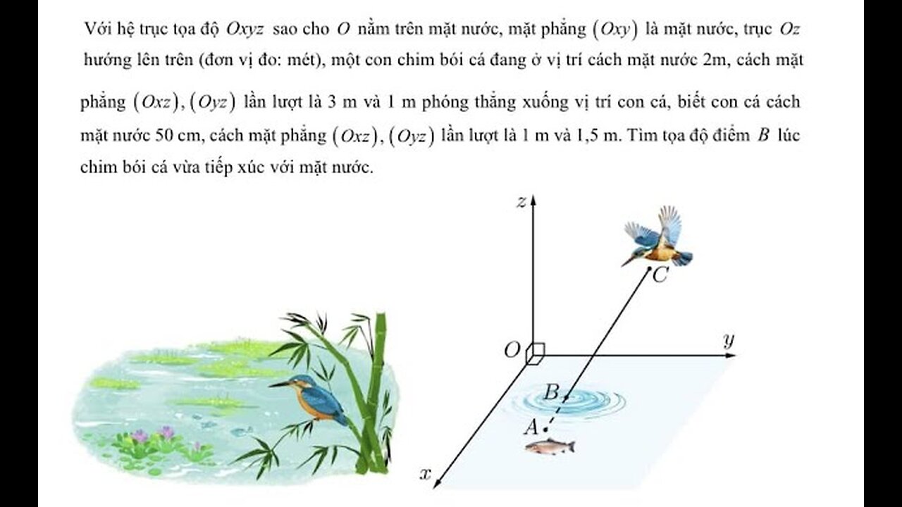 Toán 12: Hình học Oxyz: Với hệ trục tọa độ Oxyz sao cho O nằm trên mặt nước, mặt phẳng (Oxy) là mặt