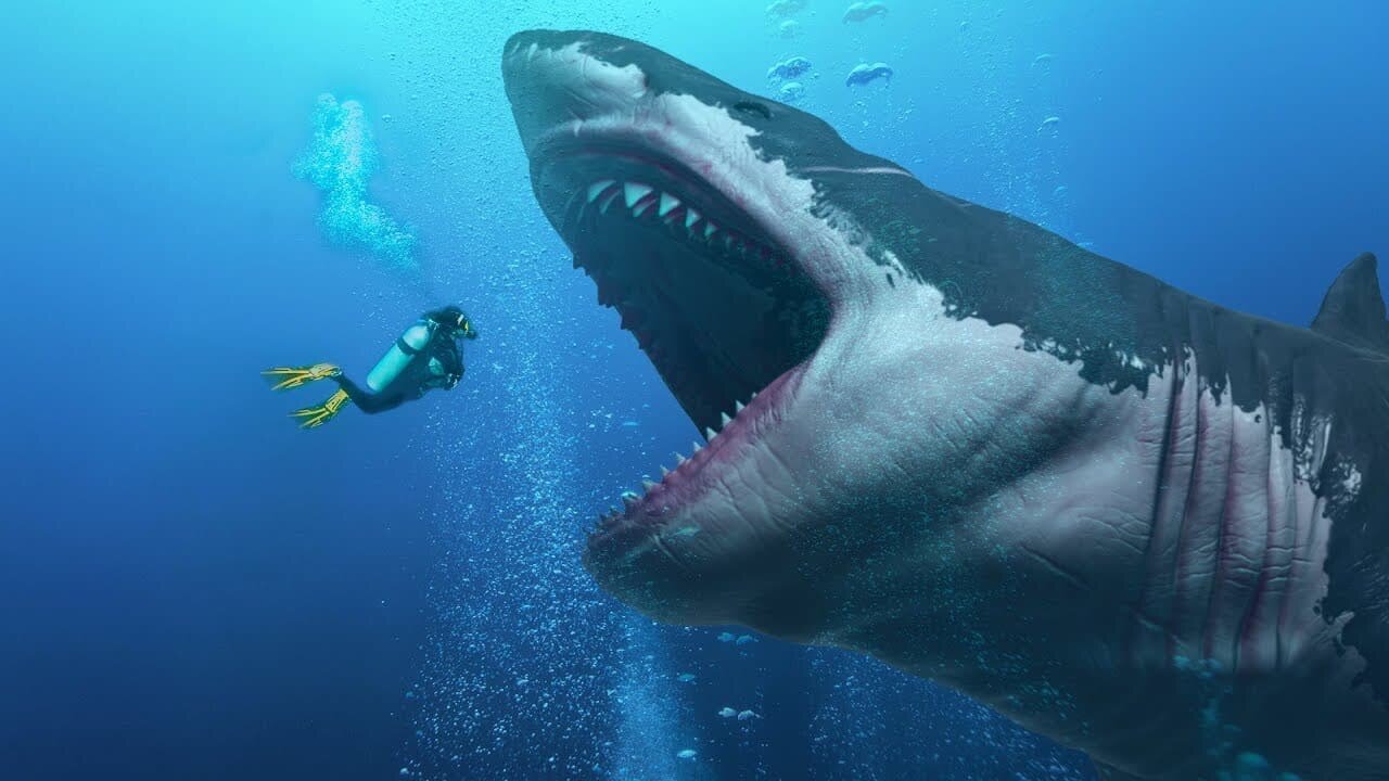 Is The Megalodon Still Alive?