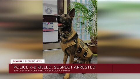 Armed suspect on Colorado School of Mines campus allegedly shot, killed K-9