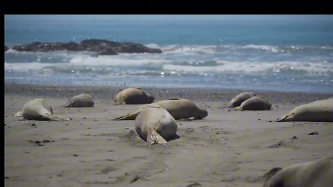 "Big Sur," Located between the Carmel Highlands and San Simeon