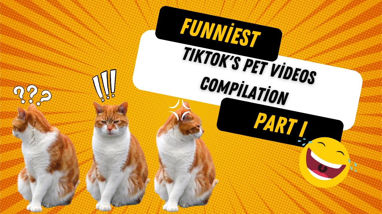 TikTok's Funniest Pet Videos Compilation: Laugh Your Tail Off!