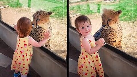 WARNING!! There is too much cuteness in this video