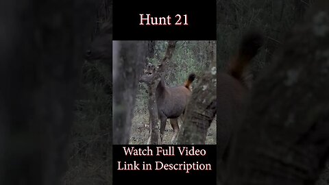Hunt 21