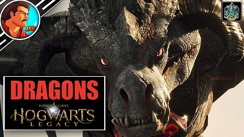 DRAGONS! Hogwarts Legacy
