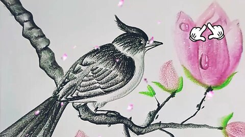 how to draw bird with pencil easy steps