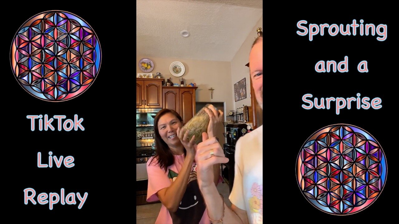 Sprouting, Sourdough and a Surprise Visitor in This TikTok Live Replay | Always Healing & Having Fun