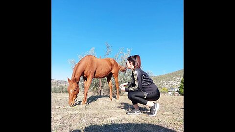 Είμαι άλογο vs "Σχιζοφρένεια 27"