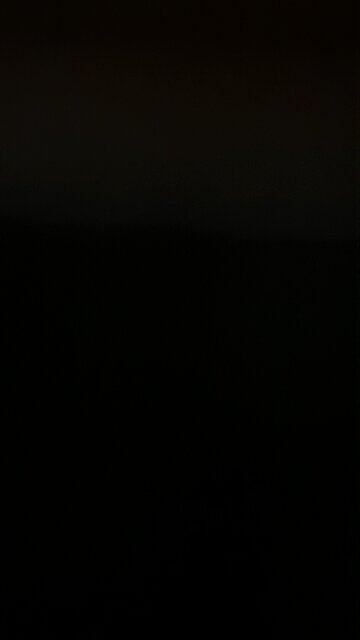 Biden’s “America”