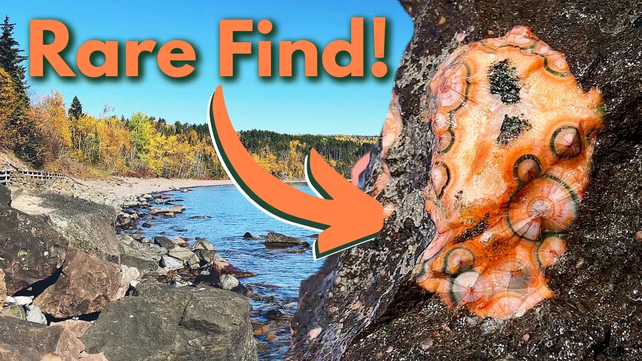 RARE Thomsonite Found while Rockhounding Lake Superiors North Shore!