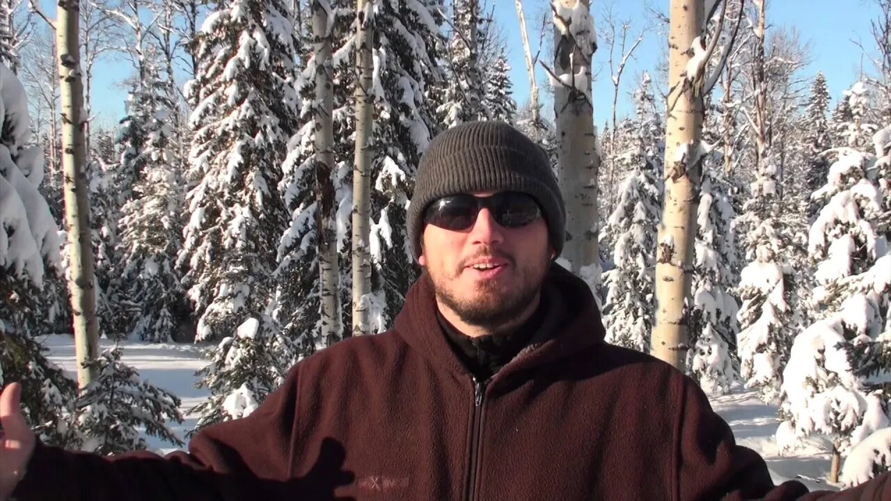 A little introduction - Gridlessness - life in the woods