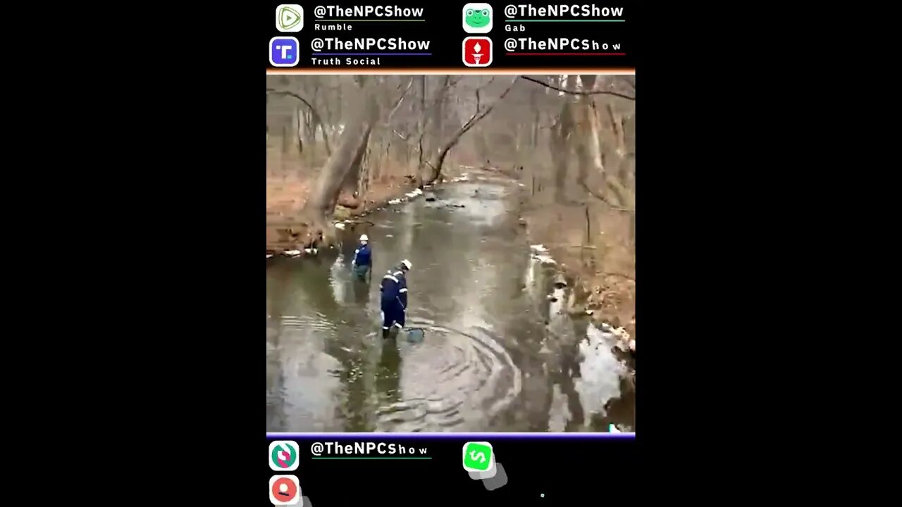 Cover-Up Team Scooping Up All The De4d Fish In 0hio 🟠⚪🟣 The NPC Show