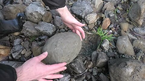 Mountain fossils - looking for fossils in the mountains of Canterbury, New Zealand