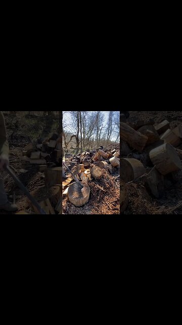 My Favorite Cardio #shorts #75hard Day 16