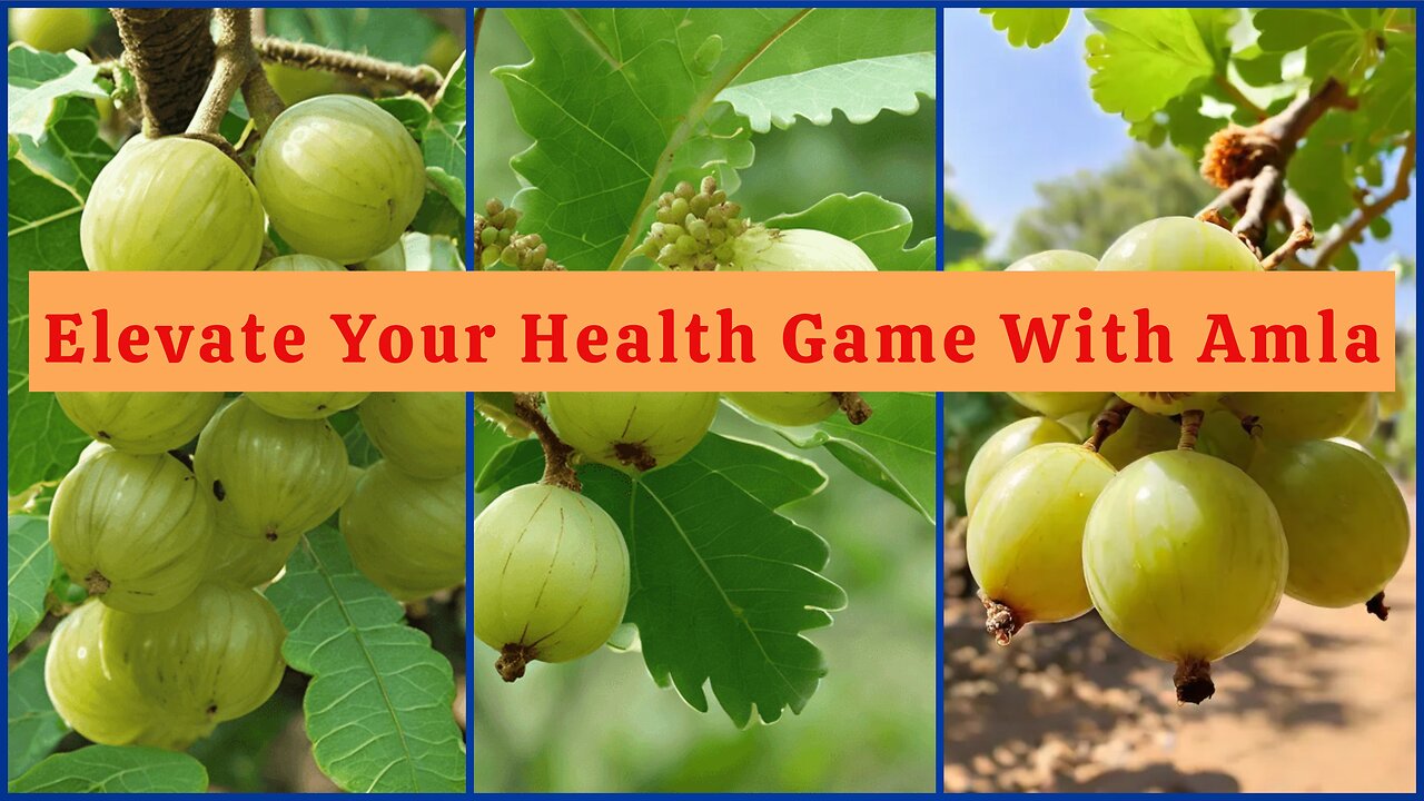 Elevate Your Health Game with Amla: Nature's Wellness Wonder