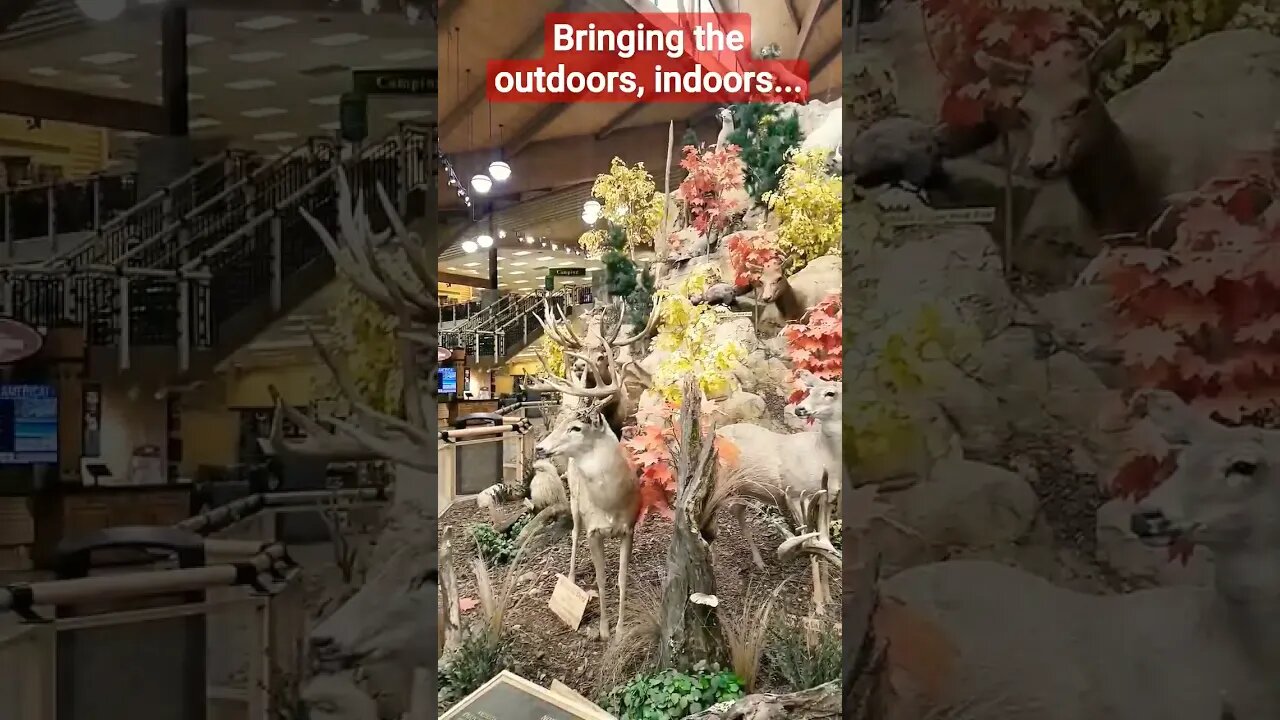 Cabela's, Lehi, Utah