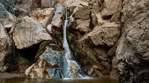 Uncover the Incredible Hidden Oasis of the Desert!