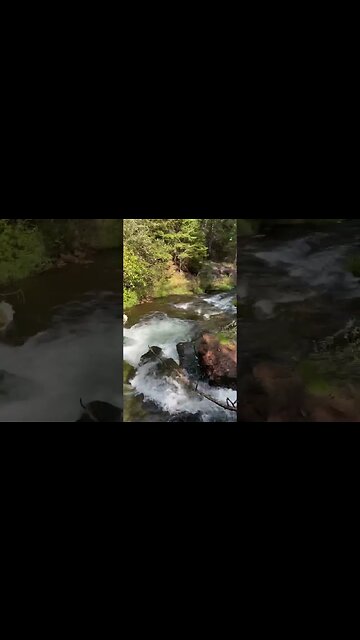 Standing in a Water Fall 🌊 #waterfall #waterfalls
