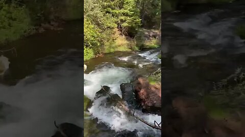 Standing in a Water Fall 🌊 #waterfall #waterfalls