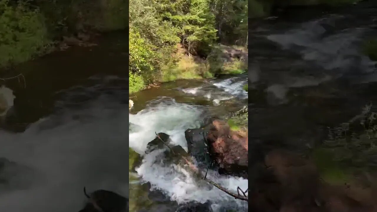 Standing in a Water Fall 🌊 #waterfall #waterfalls