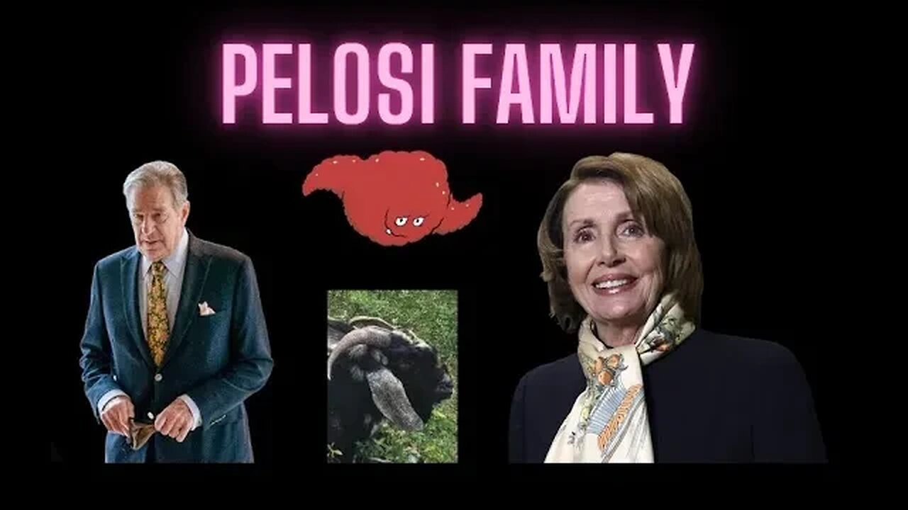 Pelosi Crime Family - Rumble Exclusive